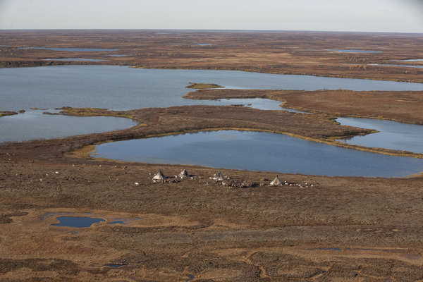 Nenets camp, Yamal Peninsula, Russia.