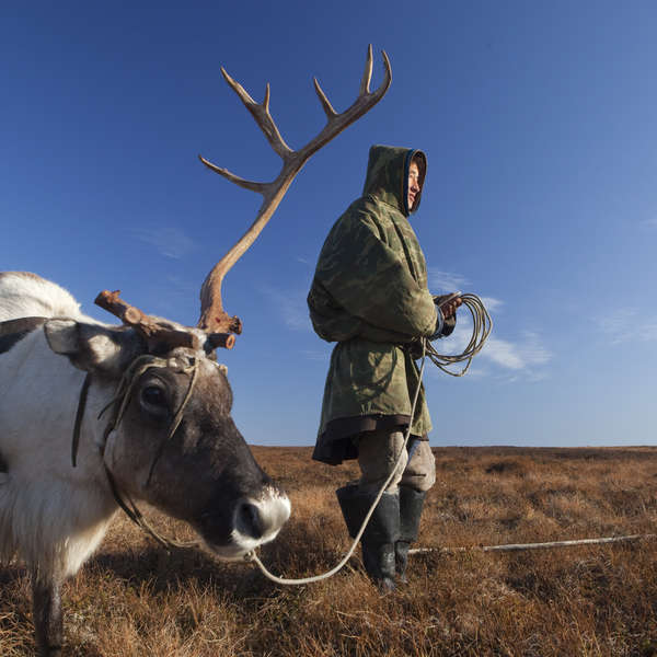 Nenet herder, Yamal Peninsula, Russia
