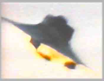 VRILa3.jpg (4004 bytes)