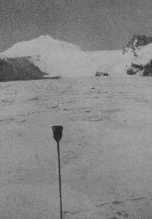 antarc24.jpg (6508 bytes)