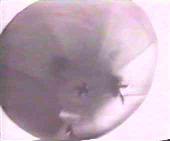 vril7a2.jpg (3997 bytes)